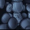 pollet_mkamachi