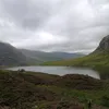 tomahigham