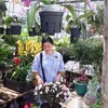 nangluongyeuthuong82