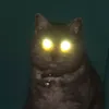dev_1112