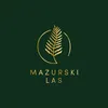 mazurski_las