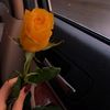 wipx_