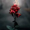 alialmuhammadawi47