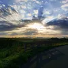 wout_32