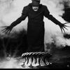 theravensofmyfuneral