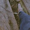 dalenz.adalid