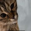 ben_amal7
