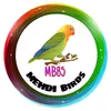 mehdi_birds
