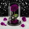 purplerosekiss