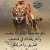 55259133.kokez1