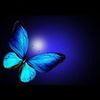 www.tiktok.com.rumi
