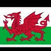 jameswilson15287