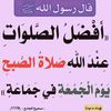 mahdiye313