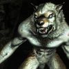 white_werewolf99
