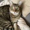 loulou32410