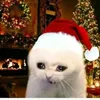 milly_ooli