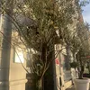 laany76