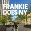 frankiedoesny