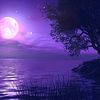 almsafr_20