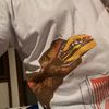 sjordan82
