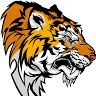 tigercharly