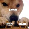 staly33