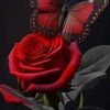rosasrsv1