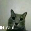 wiktorox111