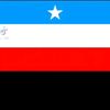 abdifitahhasanahmed1