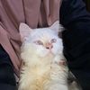 audyyykartikaaa_