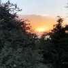 om_sul1