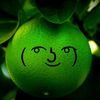 lime_prodiction