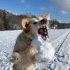 adri_107_8