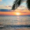 sunsetworld2
