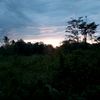 ketepajh_