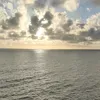 edelhernandez4