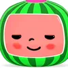 danremems00