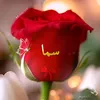 sama_al_oubade