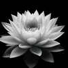 123456myphuong0