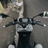 peledek_