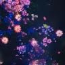cielphantomhive056