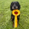 ambersdoggycombover