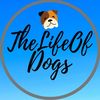 The life of dogs