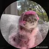 bangtannie12