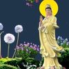lienhaphuong