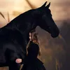 zanoubiabk