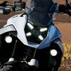 phoenix_0035