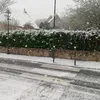 ezziwalid