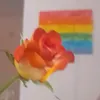 hsrzindezukbfrtgg