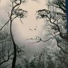 loretta_805